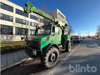 Camión grúa UNIMOG