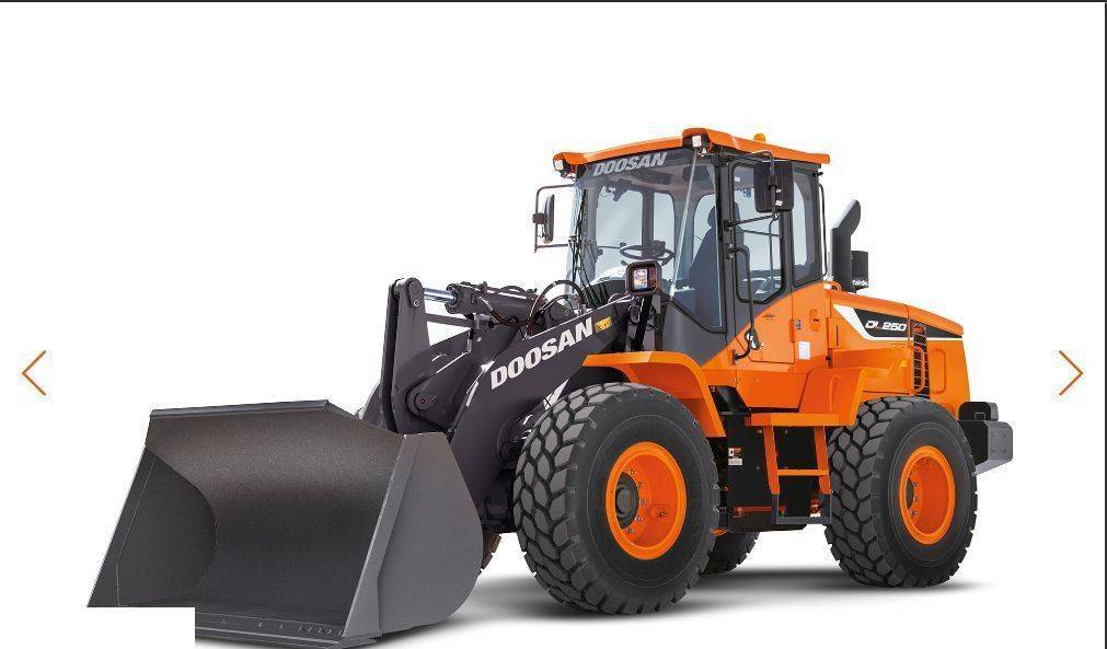 Piezas de recambio para Cargadora de ruedas Doosan DL 250 -  Zwolnica - Zwrotnica - Półoś - Skrzynia - Silnik - Siłowniki: foto 11